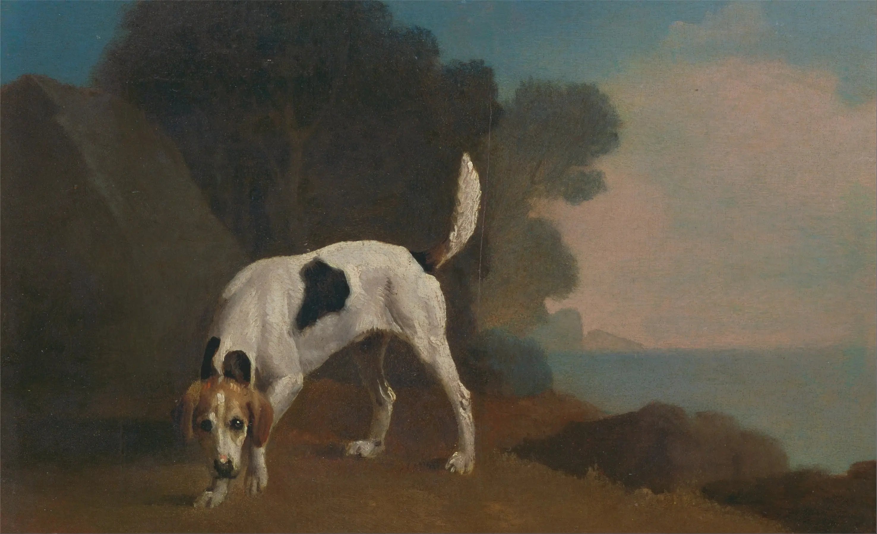 Chien courant - George Stubbs - Alpha Reproduction