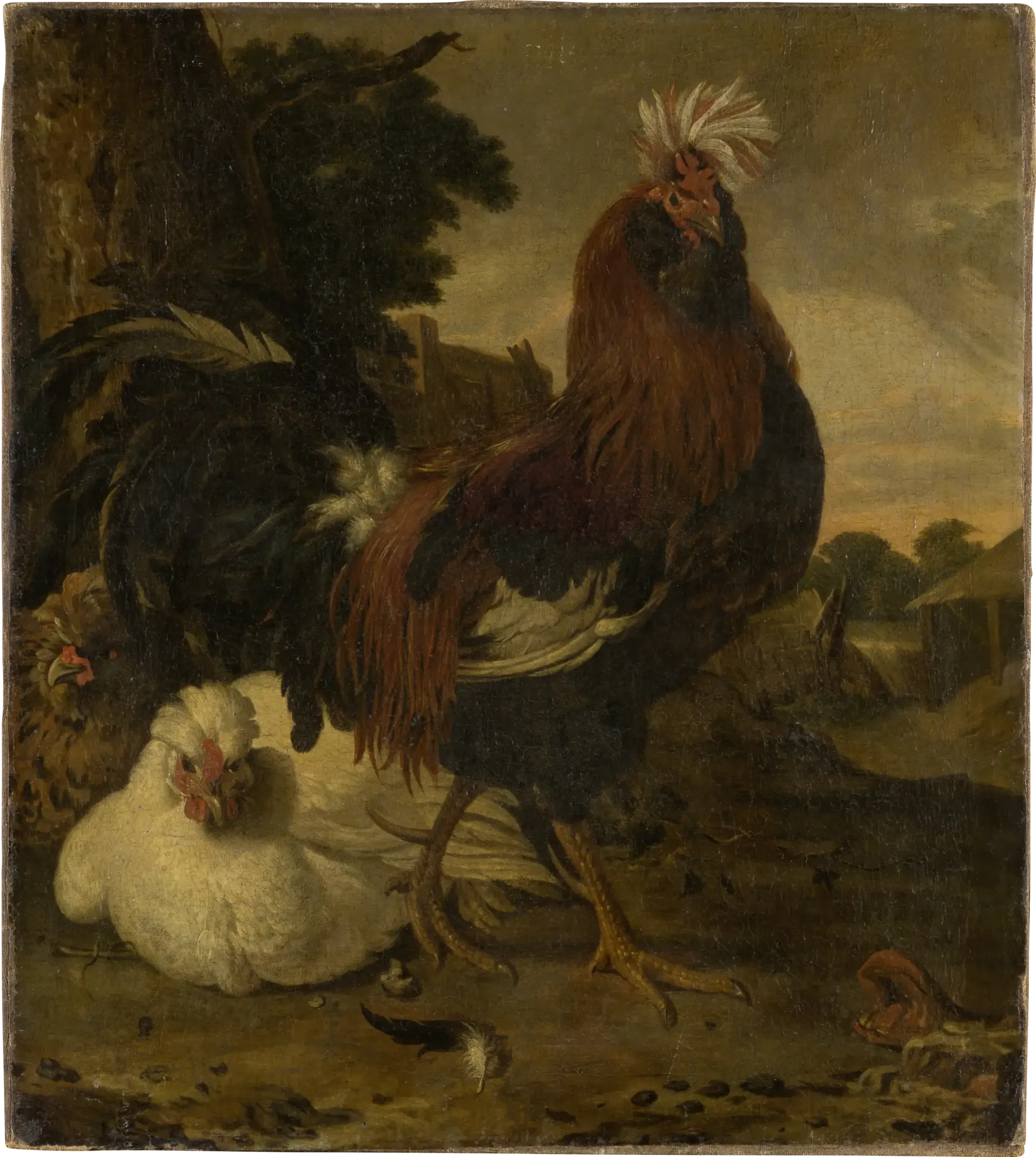 Coq dans une basse-cour - Melchior de Hondecoeter image 1 copie de tableau peinte à la main