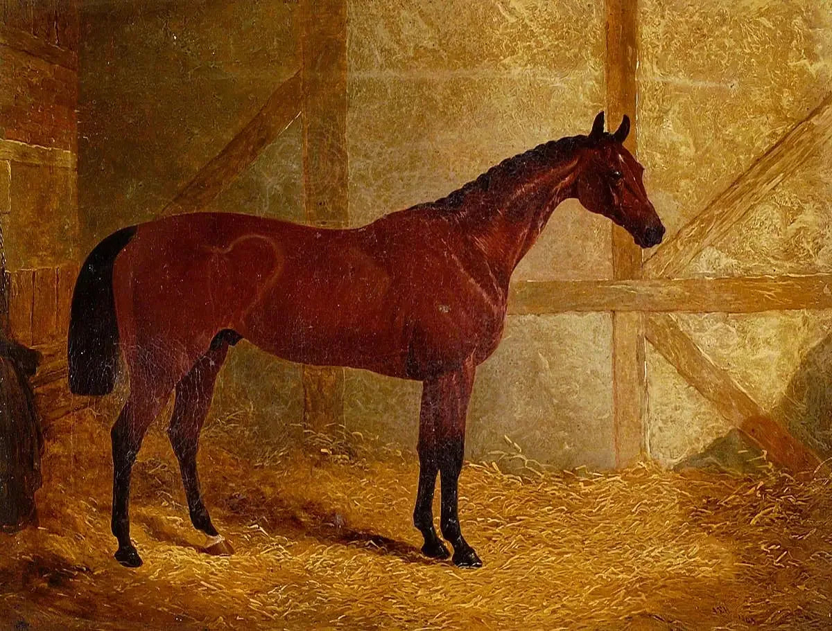 Cotherstone, vainqueur du Derby - John Frederick Herring, Sr. image 1 reproduction artisanale de tableau