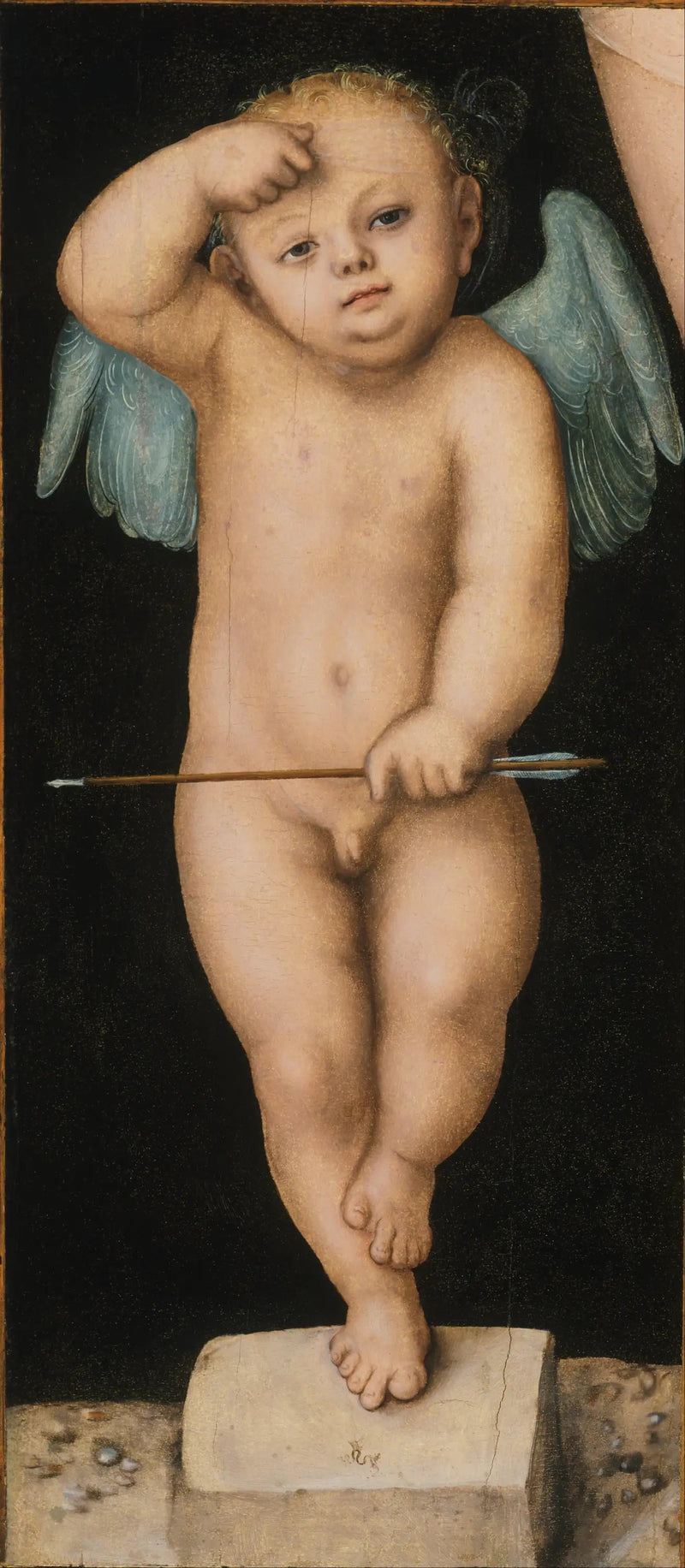 Cupidon - लुकास क्रानाच द एल्डर