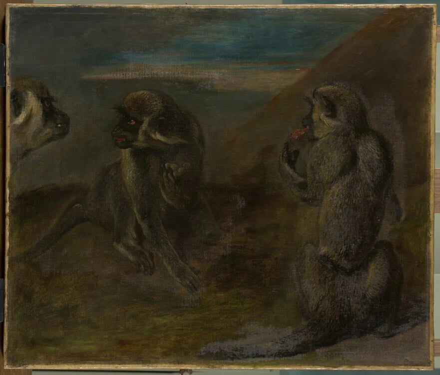 Études d'un singe - Pieter Boel