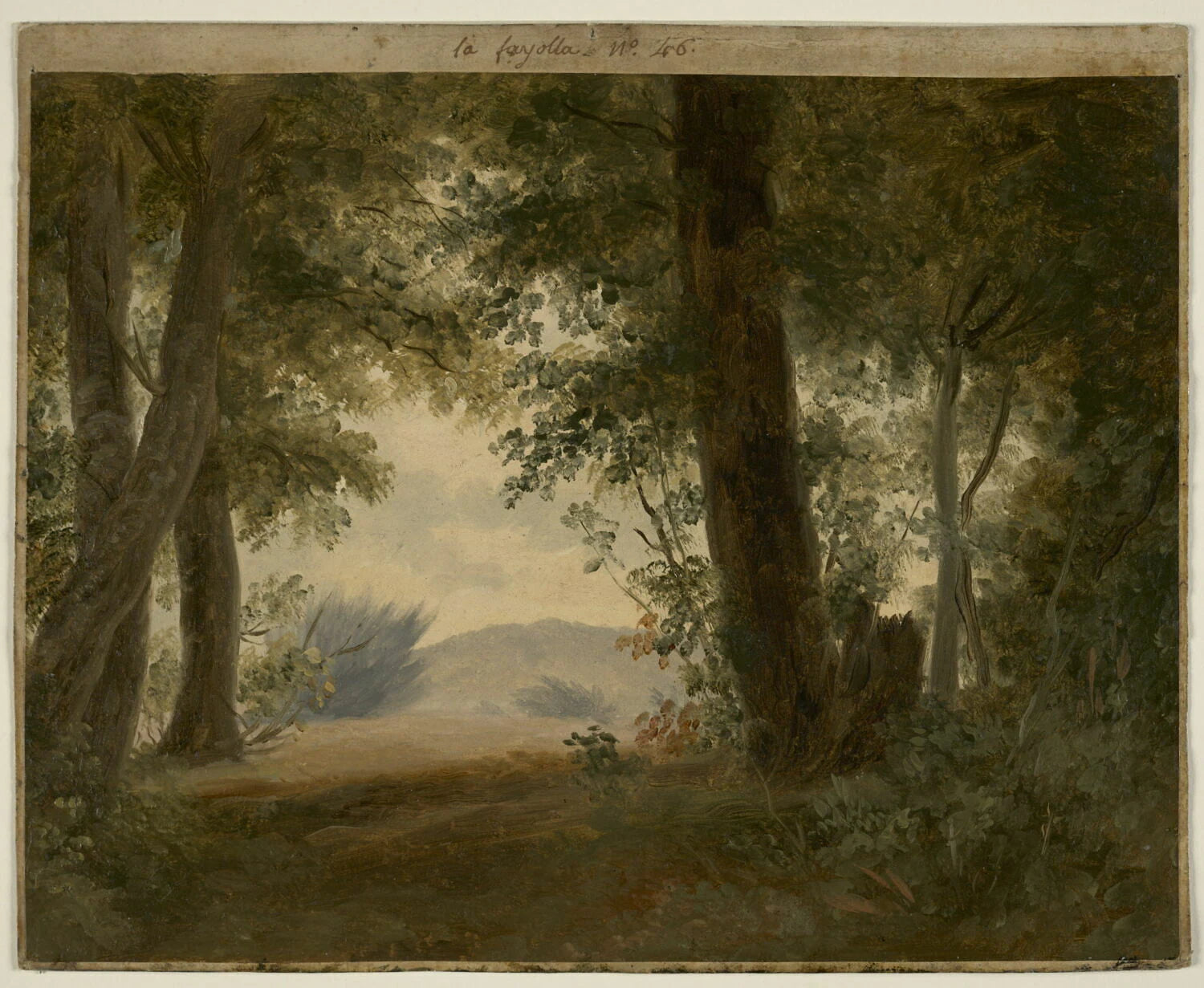 À la Fayolle, près de Nemi : forêt et fonds, dit aussi : Clairière d'un sous-bois - Pierre de Valenciennes