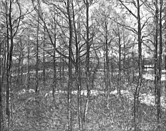 जंगल, वसंत - कज़िमिर मेलाविच