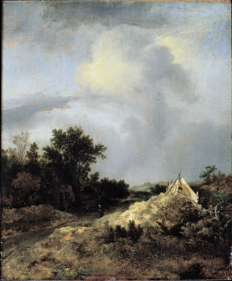 Paysage de dunes avec clôture - Jacob van Ruisdael