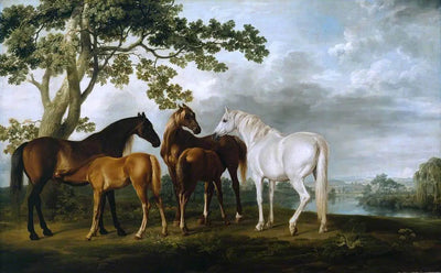 Juments et Poulains dans un paysage fluvial - George Stubbs - Alpha Reproduction