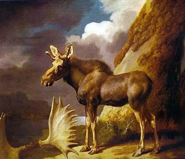 एलान - जॉर्ज स्टब्स