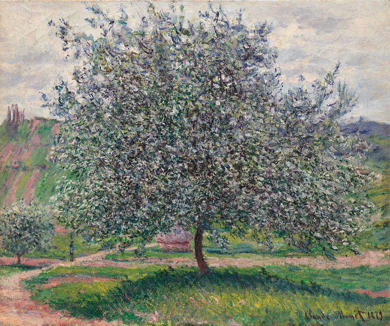 अनुवादित शीर्षक उपलब्ध नहीं - Claude Monet
