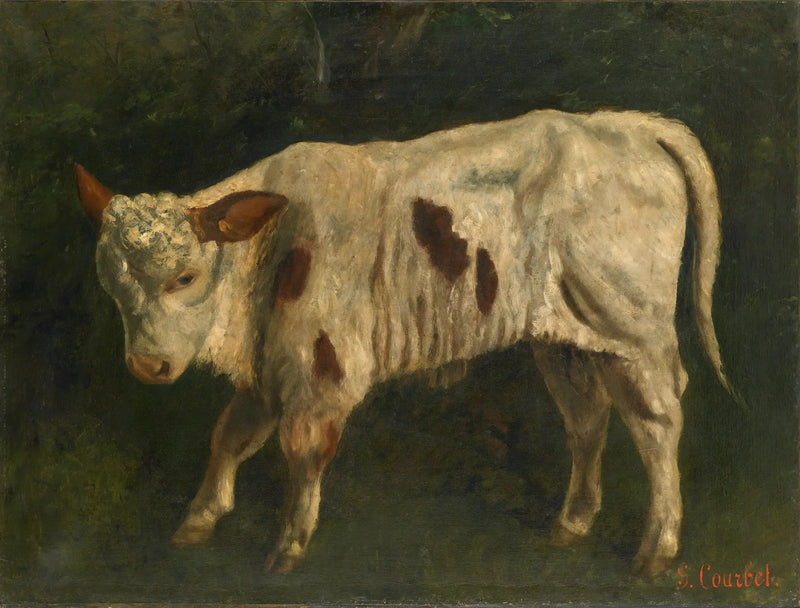 सफेद बछड़ा - Gustave Courbet