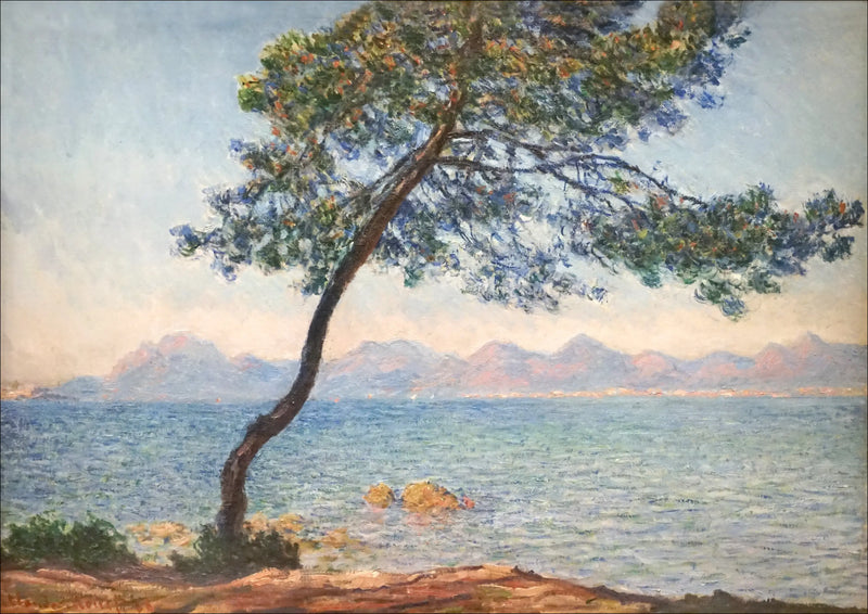 एंटीबैक्टीरियल - क्लॉड मोनेट