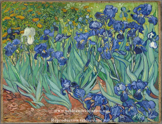 Les Iris - Van Gogh - Reproductions de tableaux et peintures haut de gamme