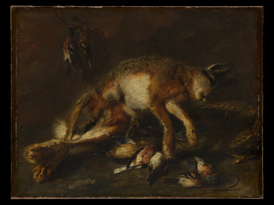 Un lièvre et des oiseaux - Jan Fyt