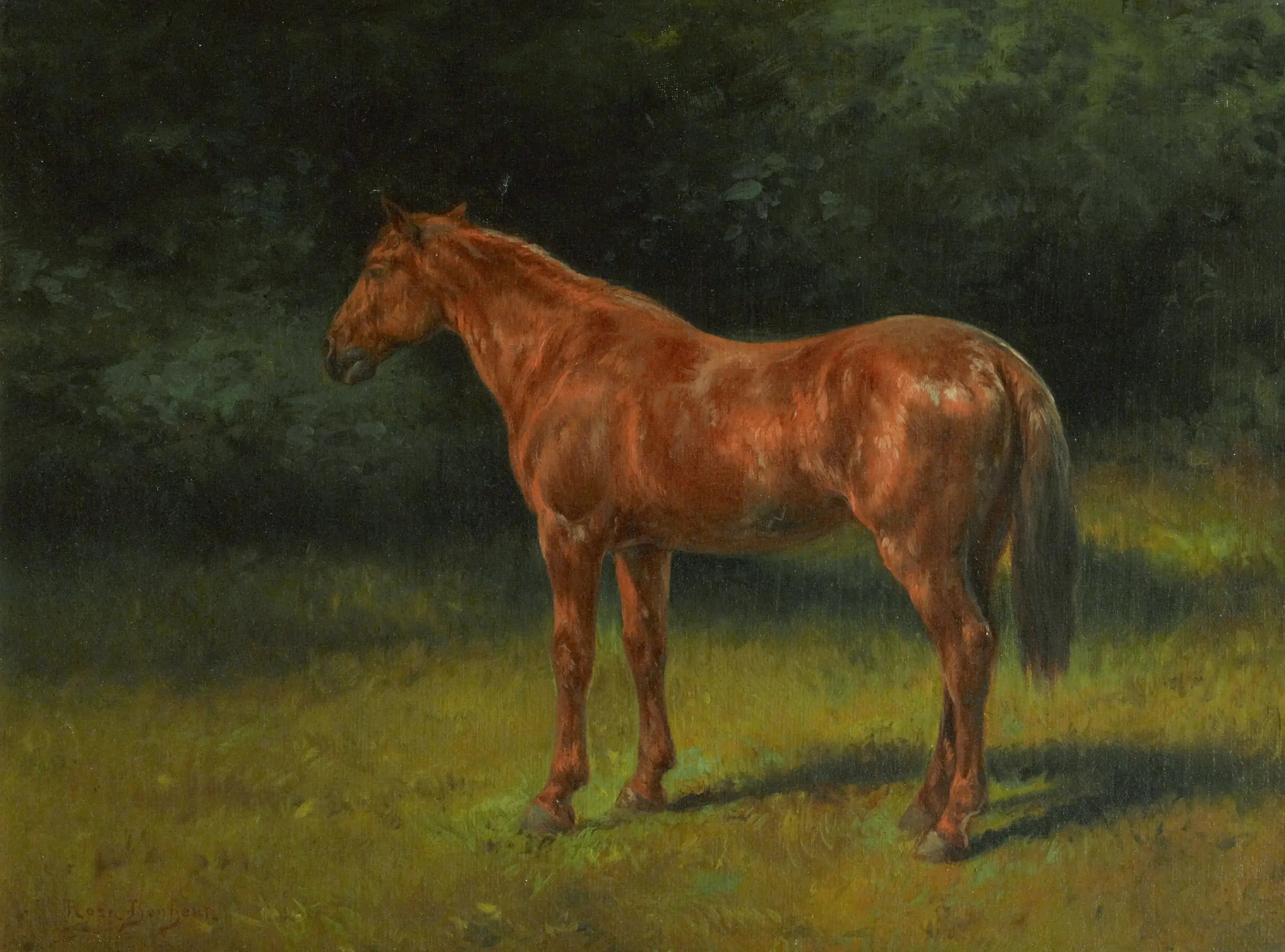 L’oseille rouge - Rosa Bonheur - Alpha Reproduction