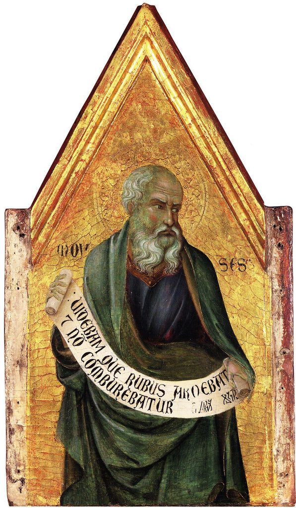 मूसा - उगालिनो दी नेरियो