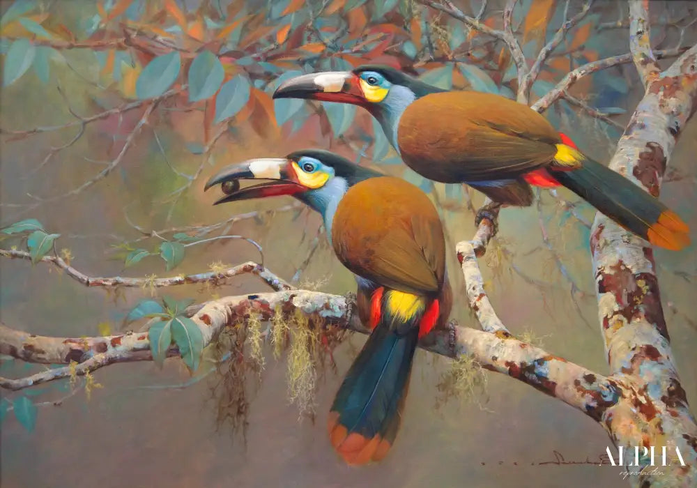 Mountain Toucan – Somchai | 60 x 90 cm Reproductions de tableaux à la peinture à l’huile