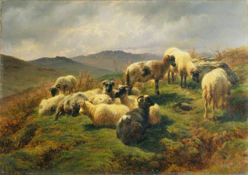 Moutons dans les Highlands - Rosa Bonheur - Alpha Reproduction