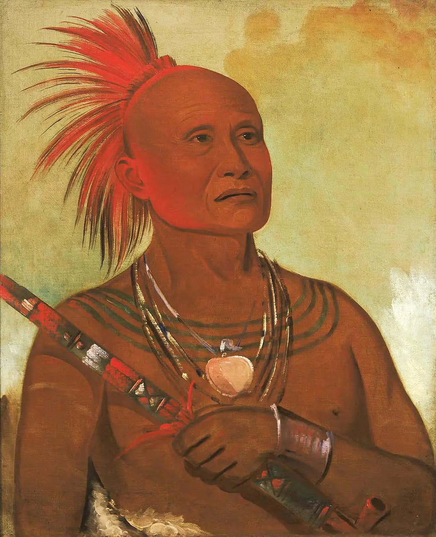 पाम-ए-हो, तैराक, ब्लैक हॉक के एक योद्धा - जॉर्ज कैटलिन