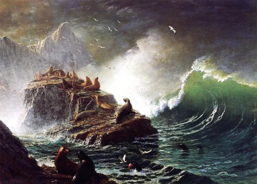 फॉक्सेस sur les rochers, îles Farallon - Albert Bierstadt