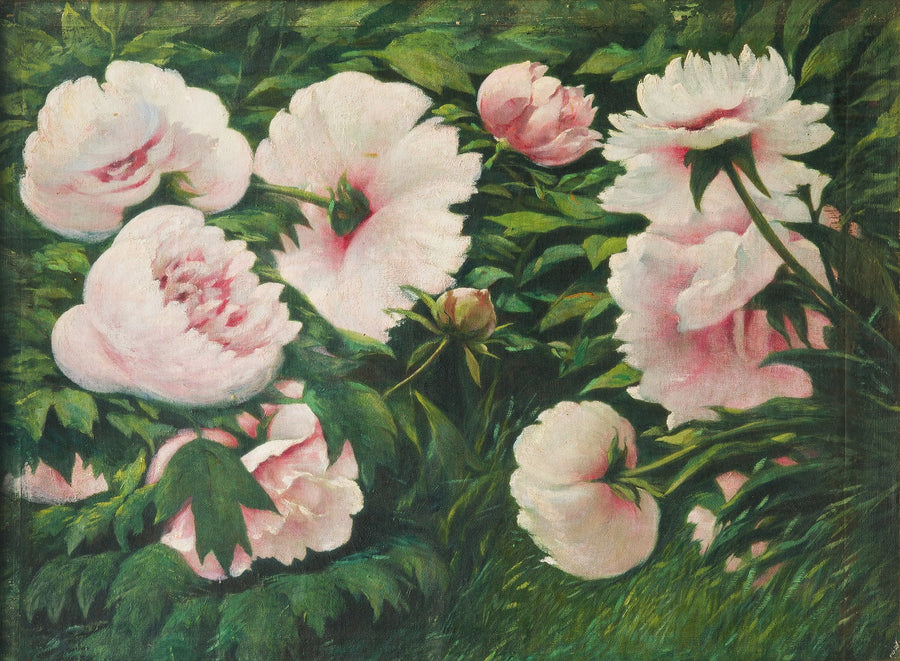Pivoines roses – Josip Germ