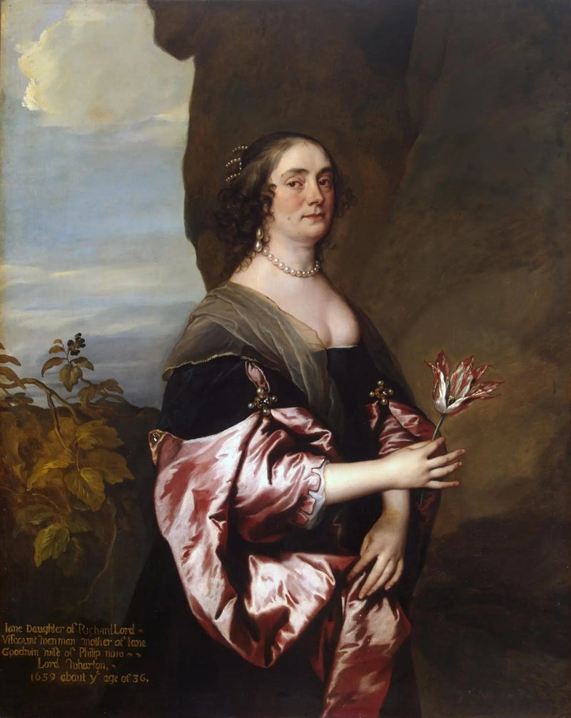 लेडी जेन गुडविन का पोर्ट्रेट - Antoine van Dyck