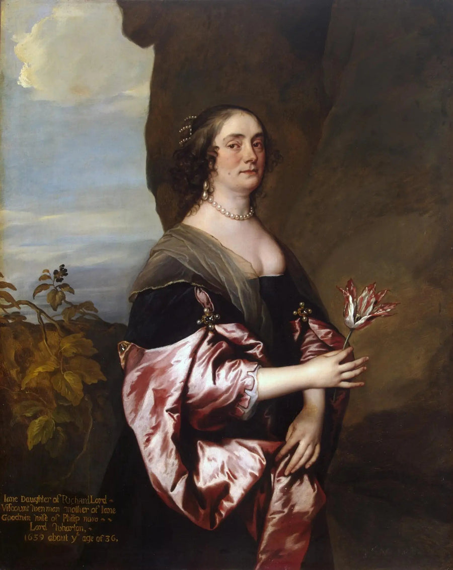 लेडी जेन गुडविन का पोर्ट्रेट - Antoine van Dyck
