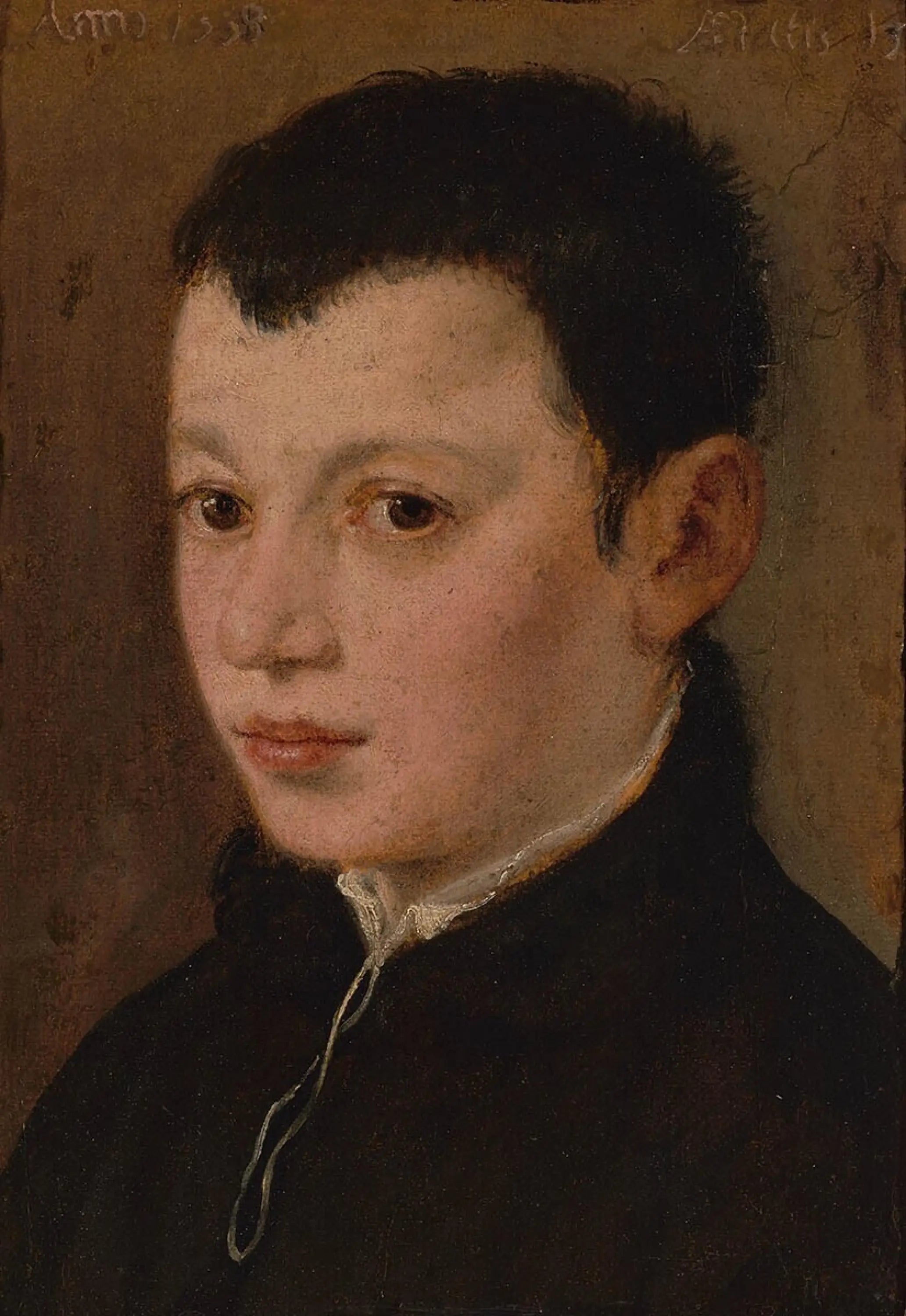 Portrait d’un garçon - Paul Véronèse - Alpha Reproduction