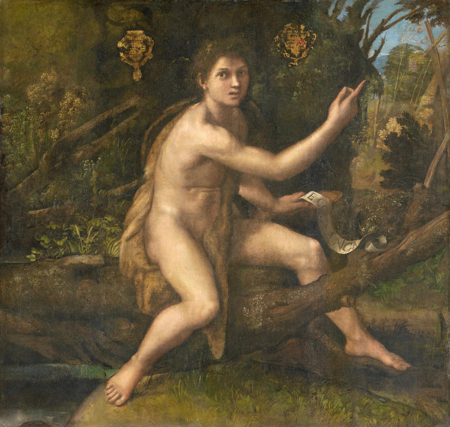 Saint Jean-Baptiste dans le désert, vers 1516 – Raphaël