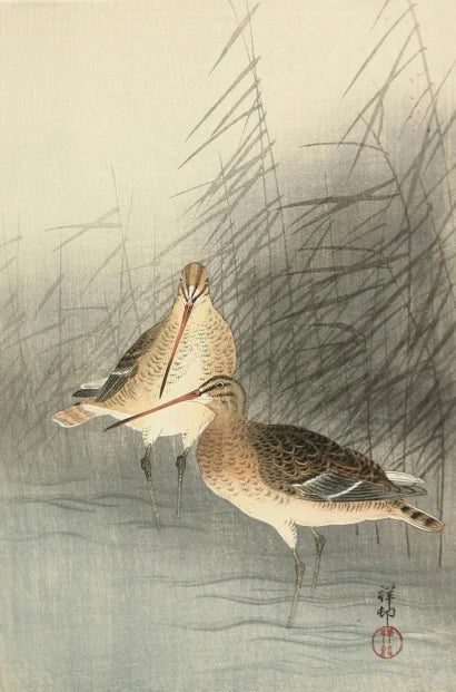 Oiseaux parmi les roseaux — Ohara Koson