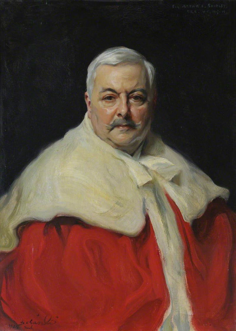 Loading...