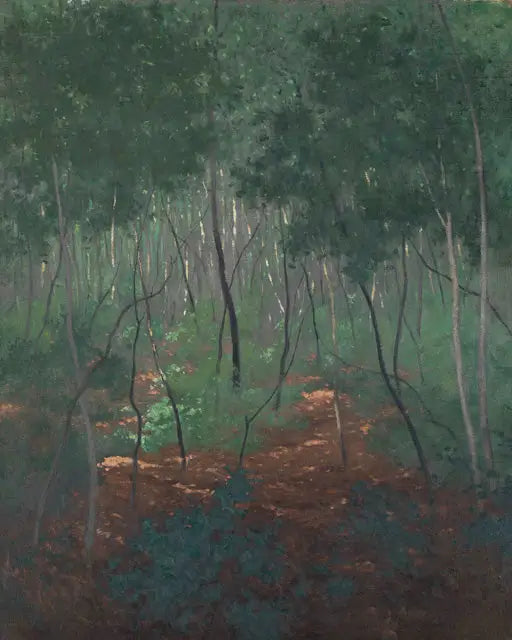 Sous-bois arbres légers - Félix Vallotton - Alpha Reproduction