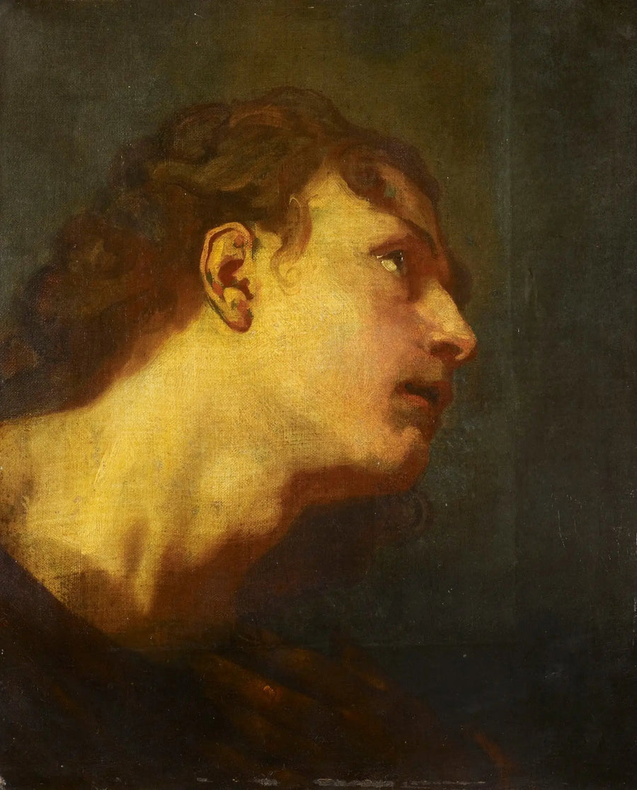 एक युवा पुरुष का सिर - Antoine van Dyck