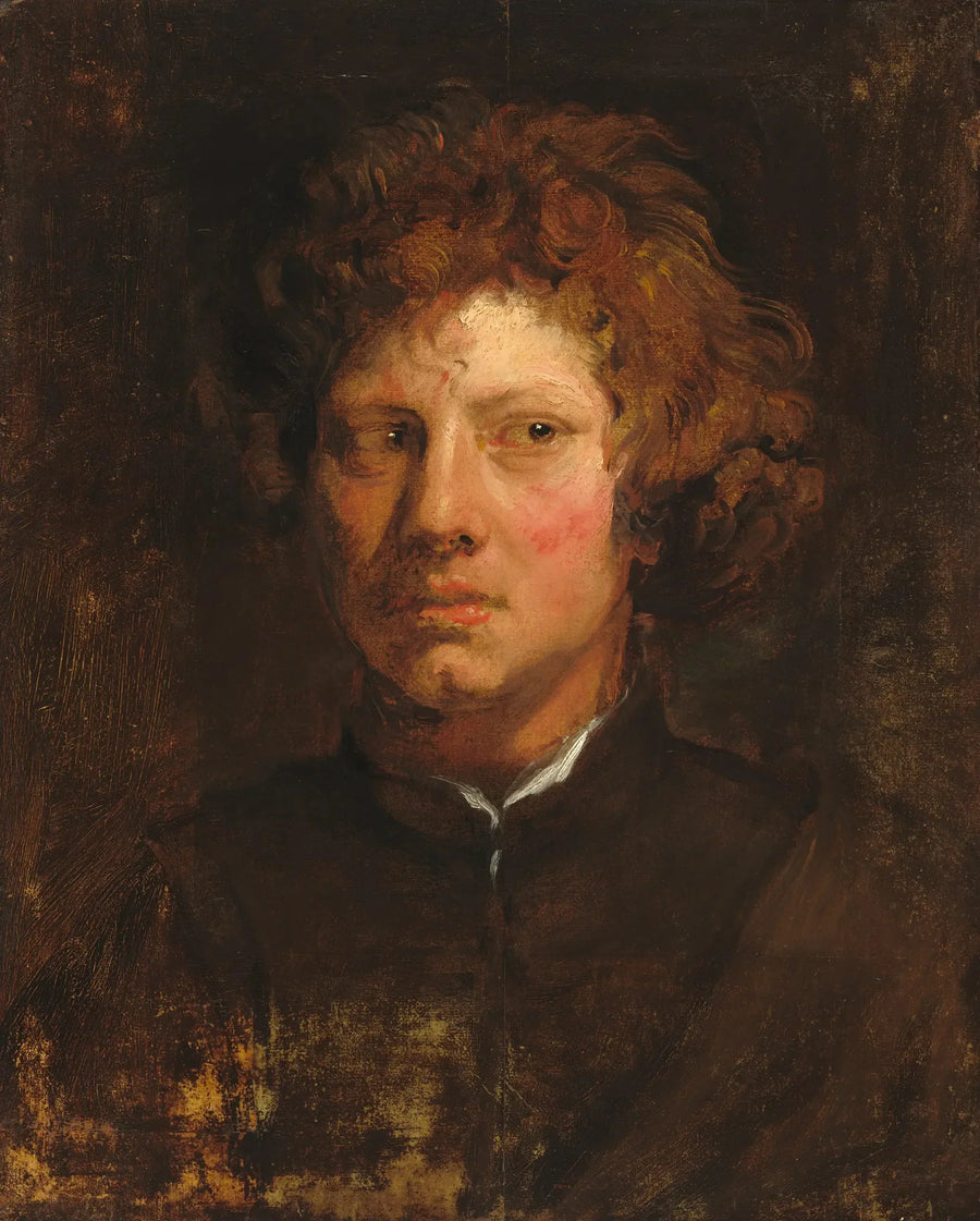एक युवा पुरुष का सिर - Antoine van Dyck