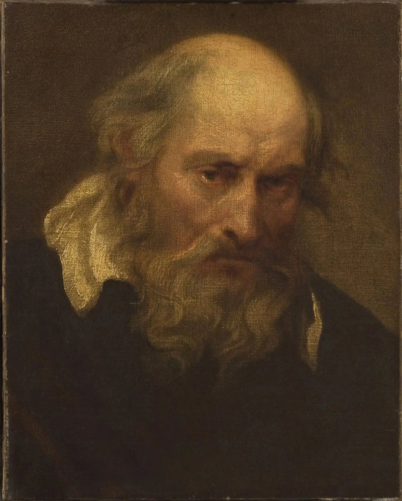बूढ़े आदमी का सिर - Antoine van Dyck
