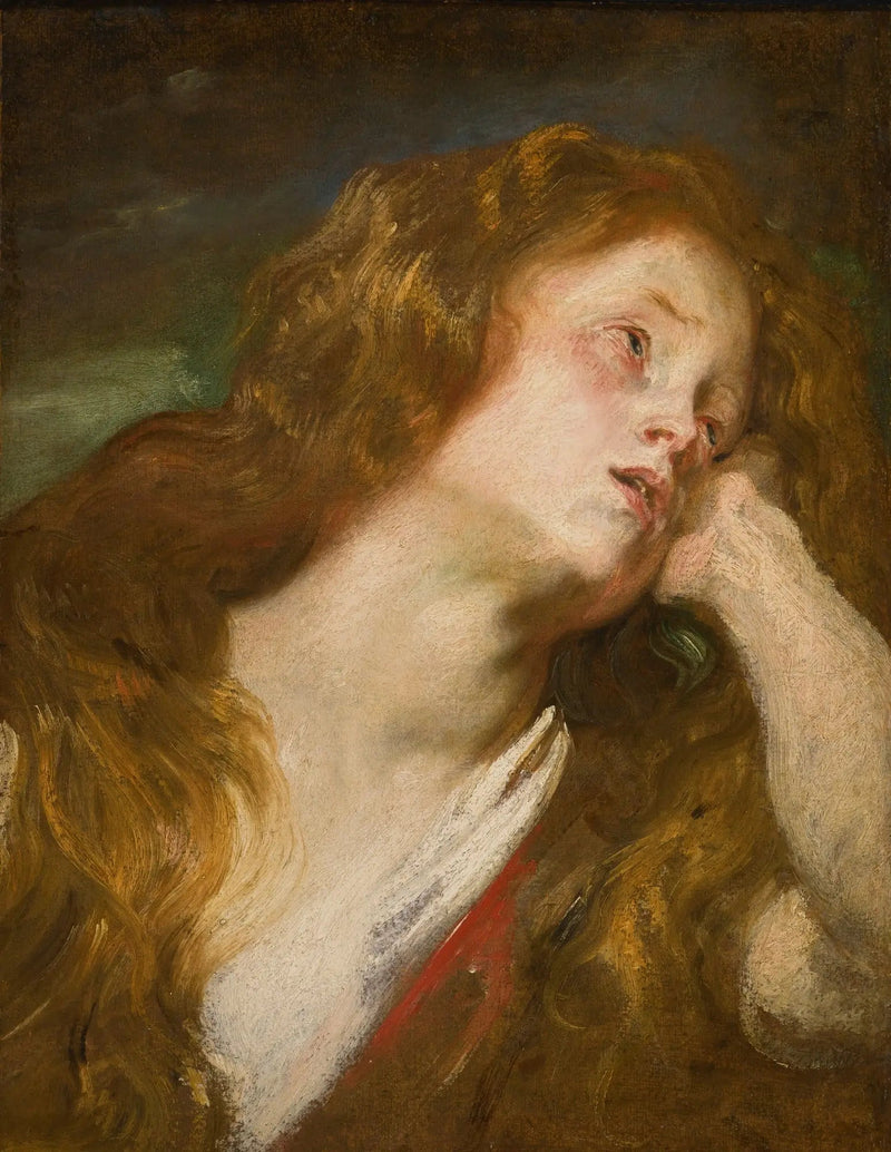 युवा महिला का सिर - Antoine van Dyck