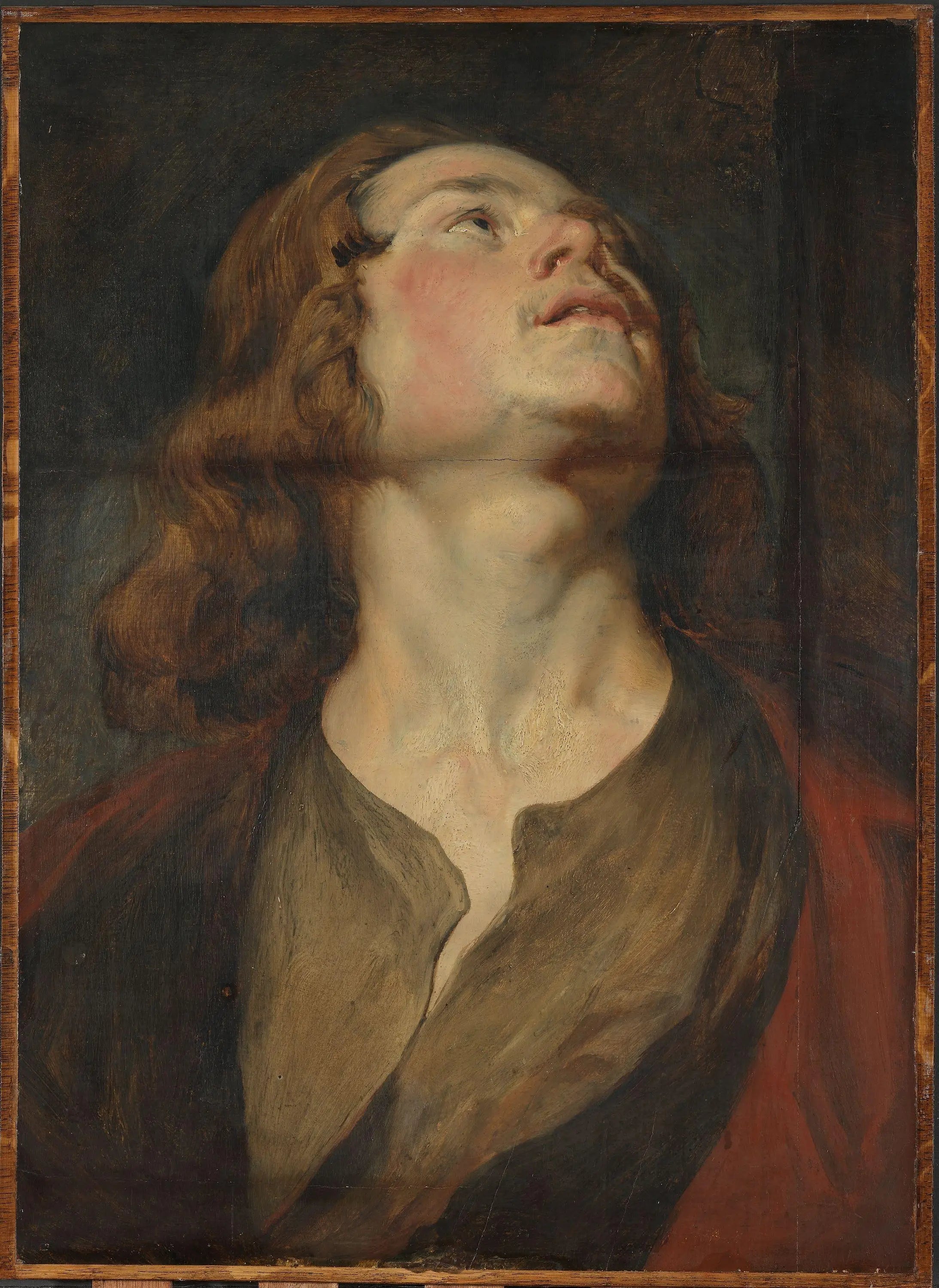 Tête de Saint Jean - Antoine van Dyck image 1 reproduction réalisée par Alpha Reproduction