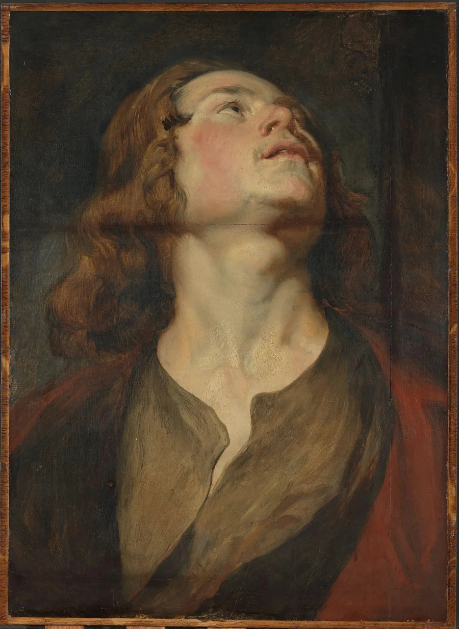 सेंट जॉन की सिर - Antoine van Dyck