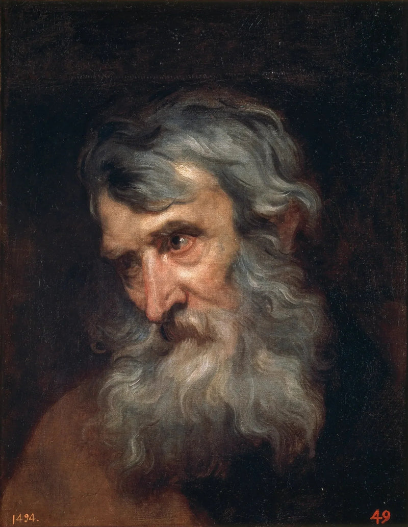 बूढ़े आदमी का सिर - Antoine van Dyck