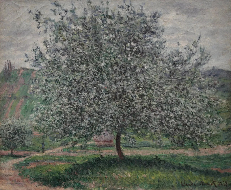अनुवादित शीर्षक उपलब्ध नहीं - Claude Monet
