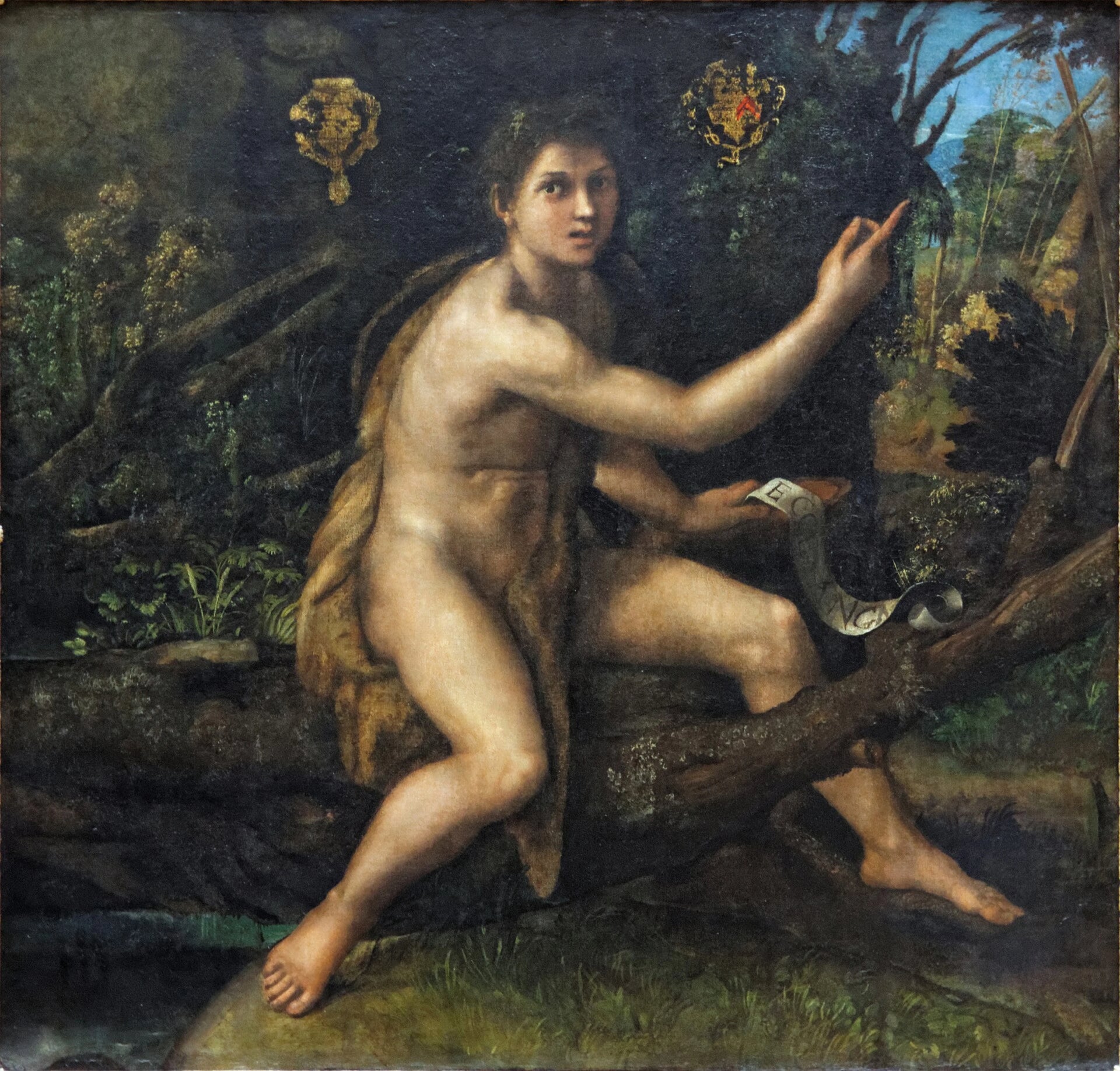 Saint Jean Baptiste dans le désert - Raphaël Sanzio - Réproduction huile sur toile