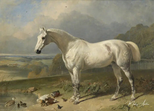 Un cheval gris et des canards dans un paysage - John Frederick Herring Snr - Reproductions de tableaux et peintures haut de gamme