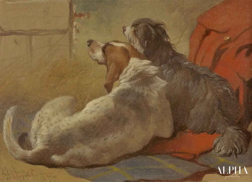 Un chien courant et un colley barbu assis sur un manteau de chasse - John Frederick Herring Snr - Reproductions de tableaux et peintures haut de gamme