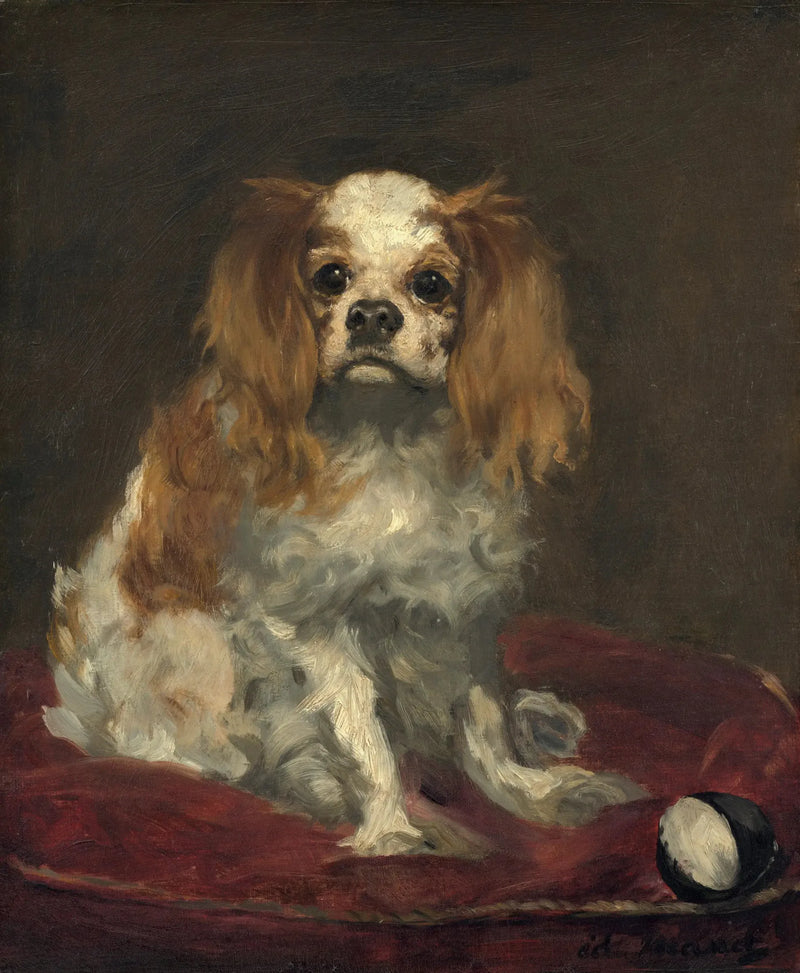 एक किंग चार्ल्स स्पैनियल - Édouard Manet
