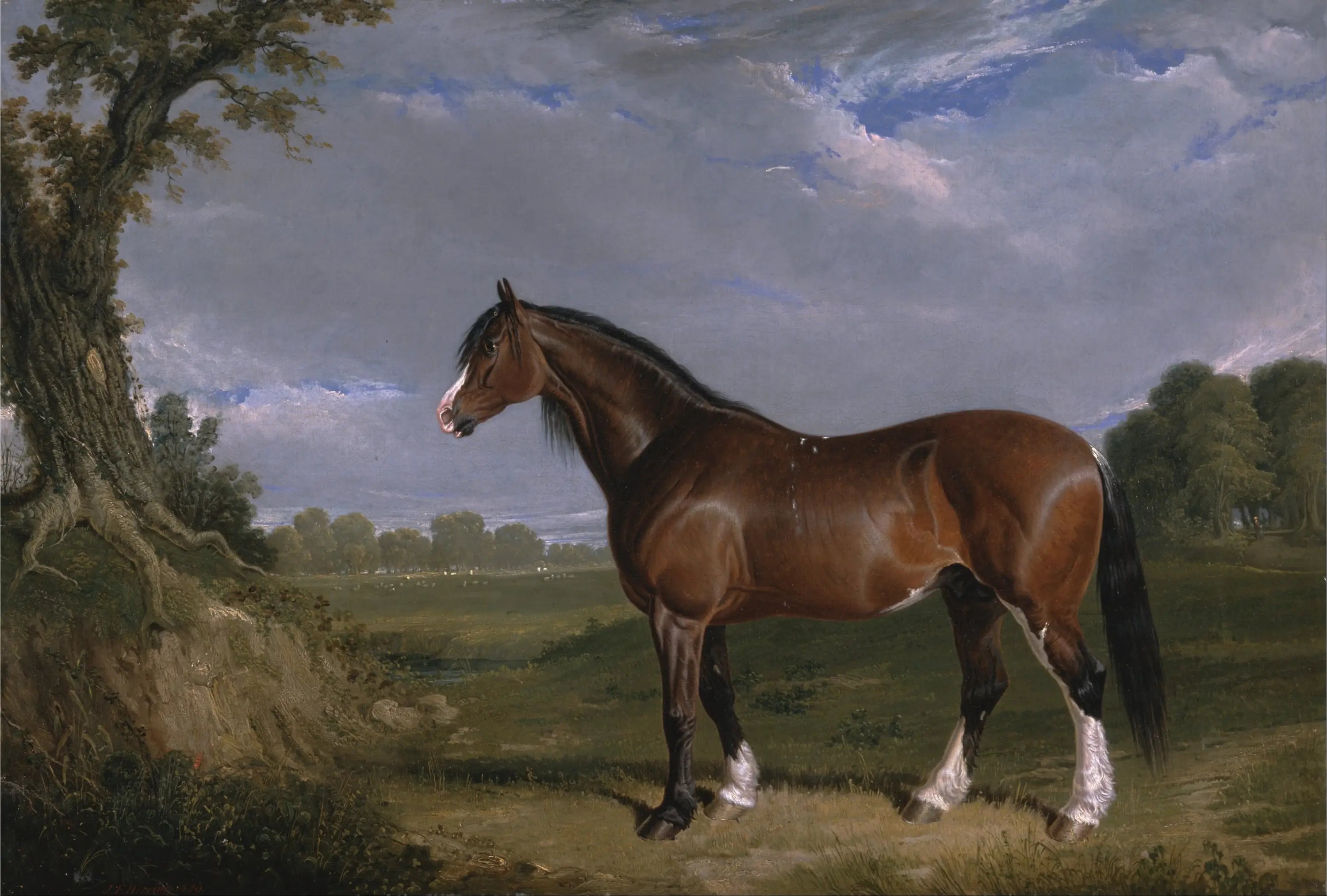 Un étalon Clydesdale - John Frederick Herring, Sr. image 1 tableau peint à l’huile sur toile