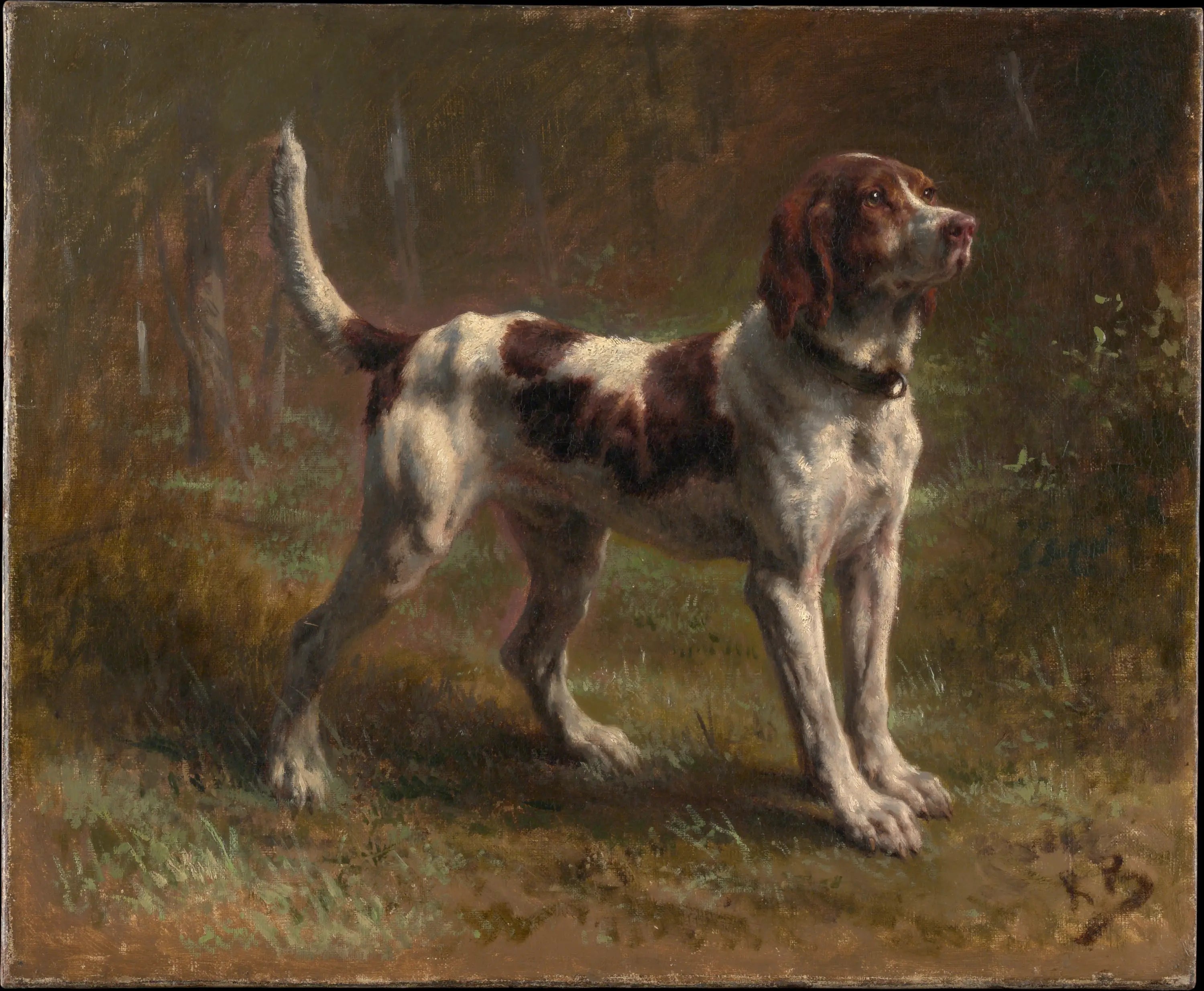 Un Limier Briquet Hound - Rosa Bonheur - Alpha Reproduction