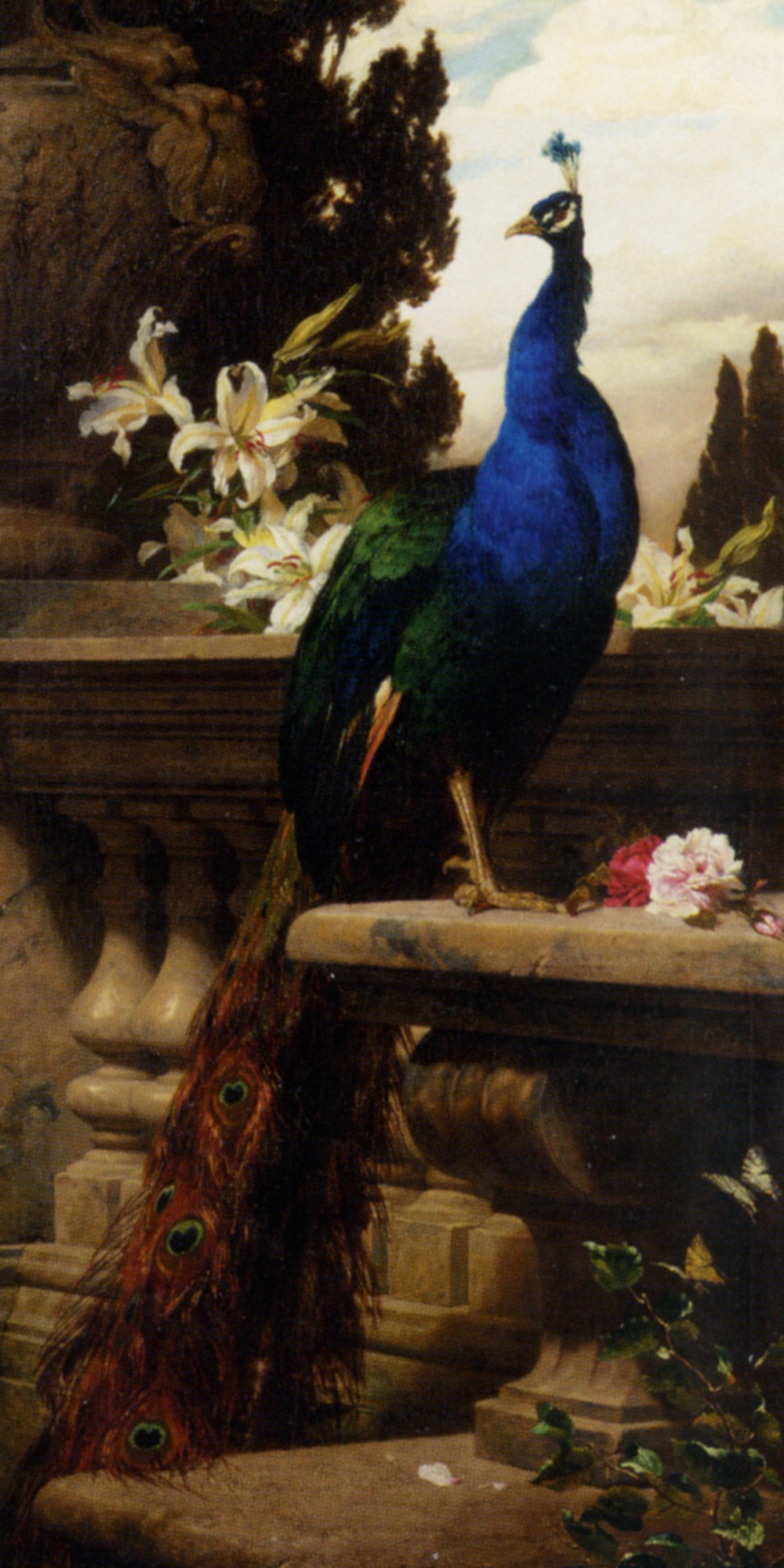 Un paon dans un paysage classique avec des lys et des roses - Gyula Benczúr image 1 copie de tableau peinte à la main